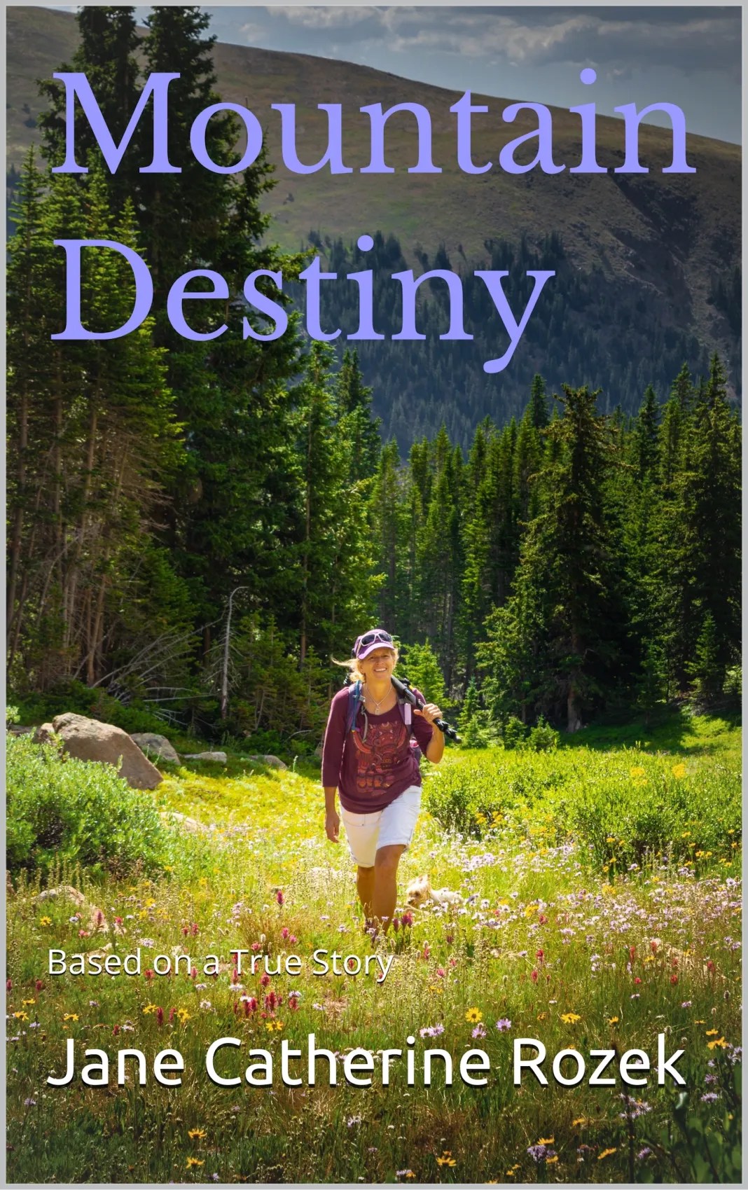 A woman hiking through a colorful mountain meadow filled with wildflowers, surrounded by pine trees and mountains in the background. The book title 'Mountain Destiny' and author's name 'Jane Catherine Rozek' are prominently displayed.